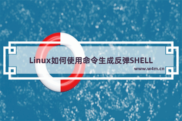 Linux如何使用命令生成反弹SHELL