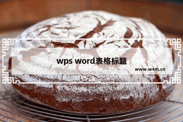 wps word表格标题