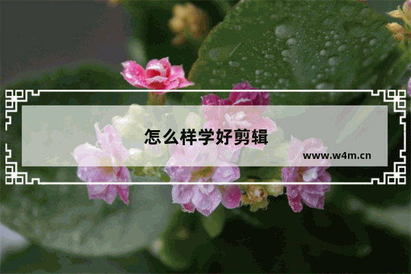 怎么样学好剪辑