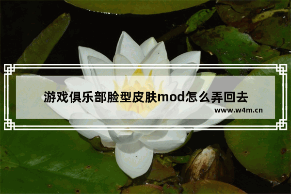 游戏俱乐部脸型皮肤mod怎么弄回去