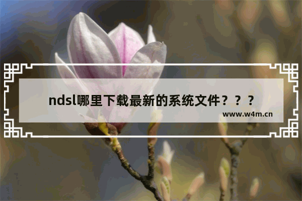 ndsl哪里下载最新的系统文件？？？