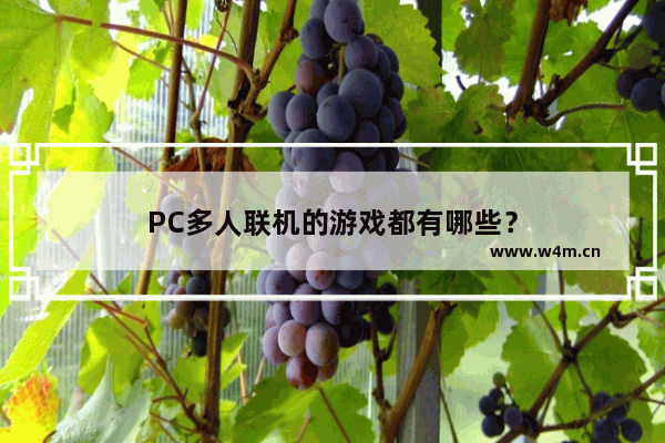 PC多人联机的游戏都有哪些？