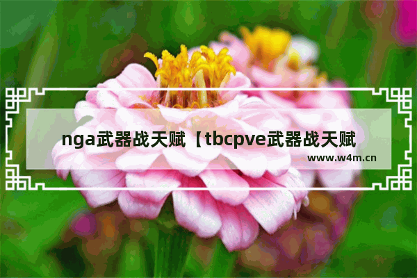 nga武器战天赋【tbcpve武器战天赋】