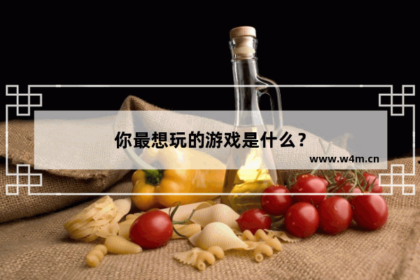 你最想玩的游戏是什么？