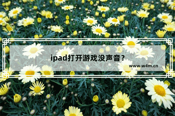 ipad打开游戏没声音？