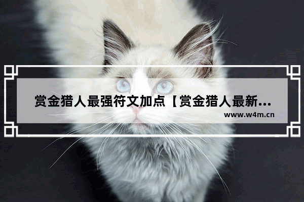 赏金猎人最强符文加点【赏金猎人最新符文天赋】