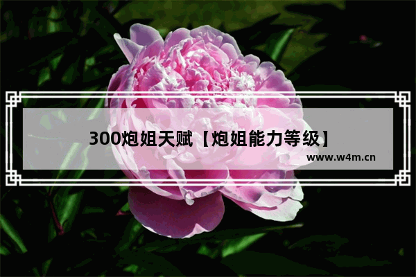 300炮姐天赋【炮姐能力等级】