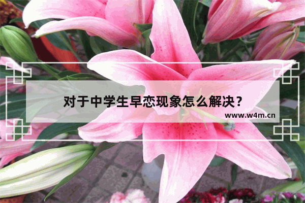 对于中学生早恋现象怎么解决？