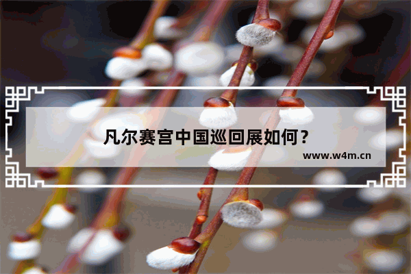 凡尔赛宫中国巡回展如何？