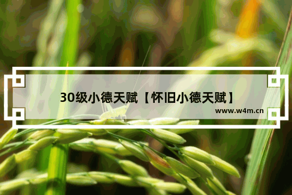 30级小德天赋【怀旧小德天赋】