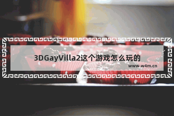 3DGayVilla2这个游戏怎么玩的