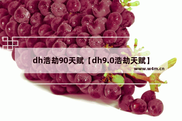 dh浩劫90天赋【dh9.0浩劫天赋】