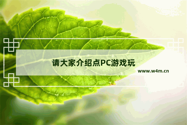 请大家介绍点PC游戏玩