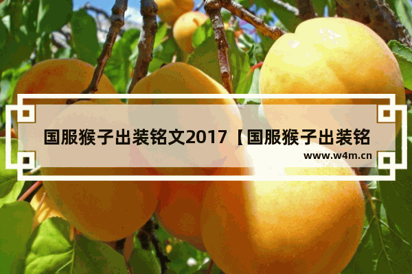 国服猴子出装铭文2017【国服猴子出装铭文搭配】