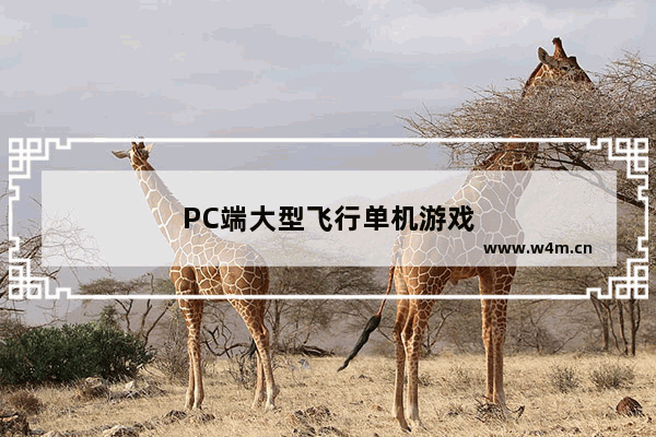 PC端大型飞行单机游戏