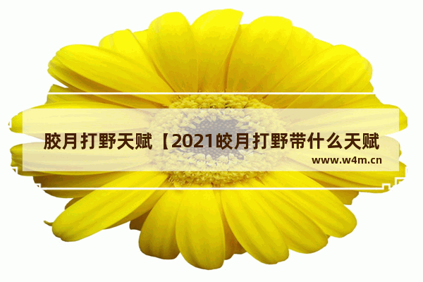 胶月打野天赋【2021皎月打野带什么天赋】