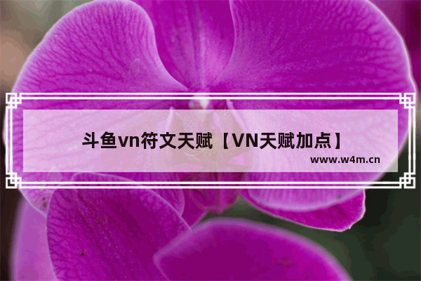 斗鱼vn符文天赋【VN天赋加点】