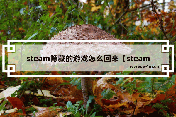 steam隐藏的游戏怎么回来【steam隐藏的游戏怎么恢复?】