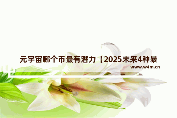 元宇宙哪个币最有潜力【2025未来4种暴涨的币】