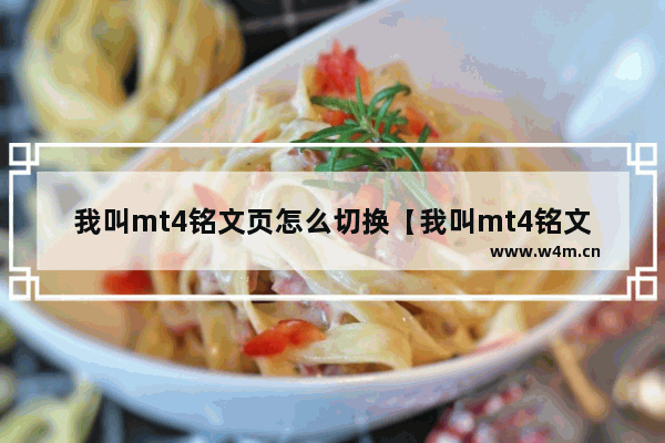 我叫mt4铭文页怎么切换【我叫mt4铭文怎么开启】