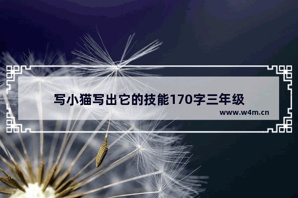 写小猫写出它的技能170字三年级