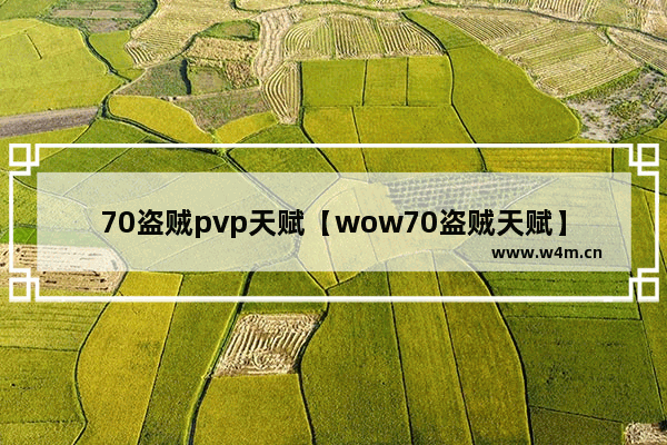 70盗贼pvp天赋【wow70盗贼天赋】