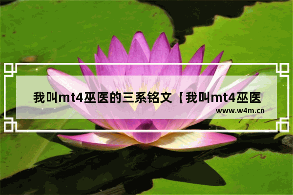 我叫mt4巫医的三系铭文【我叫mt4巫医铭文搭配】