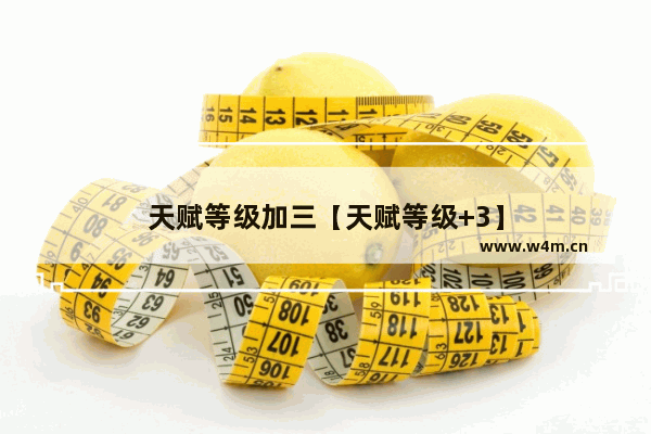 天赋等级加三【天赋等级+3】