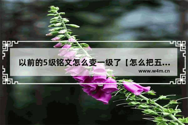 以前的5级铭文怎么变一级了【怎么把五级铭文换成一级铭文】