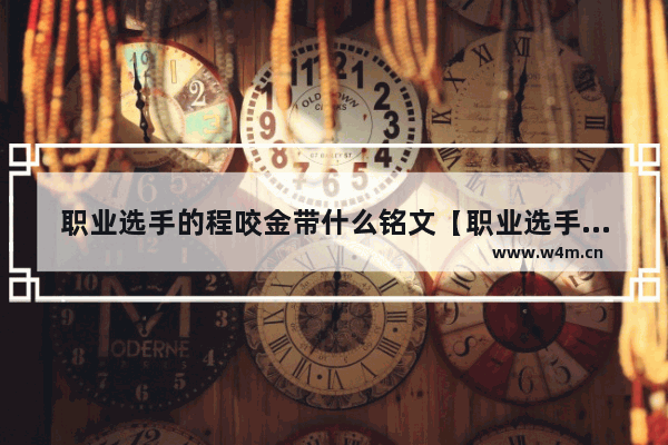 职业选手的程咬金带什么铭文【职业选手的程咬金带什么铭文好】