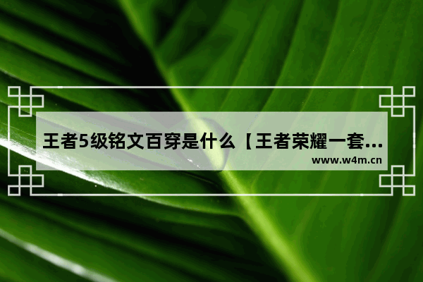 王者5级铭文百穿是什么【王者荣耀一套五级铭文】