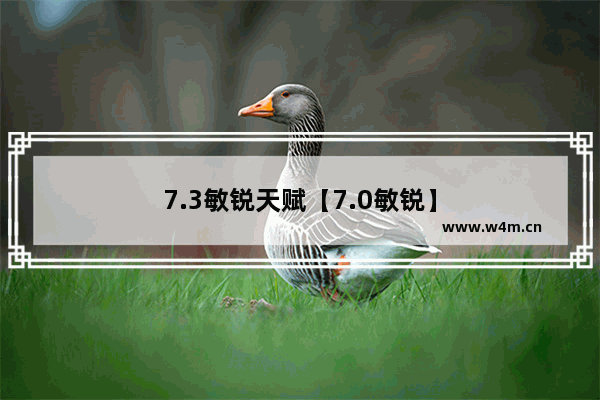 7.3敏锐天赋【7.0敏锐】