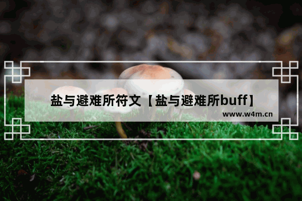 盐与避难所符文【盐与避难所buff】