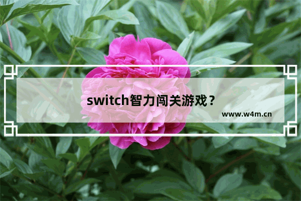 switch智力闯关游戏？