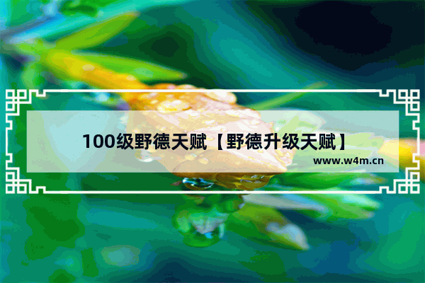 100级野德天赋【野德升级天赋】