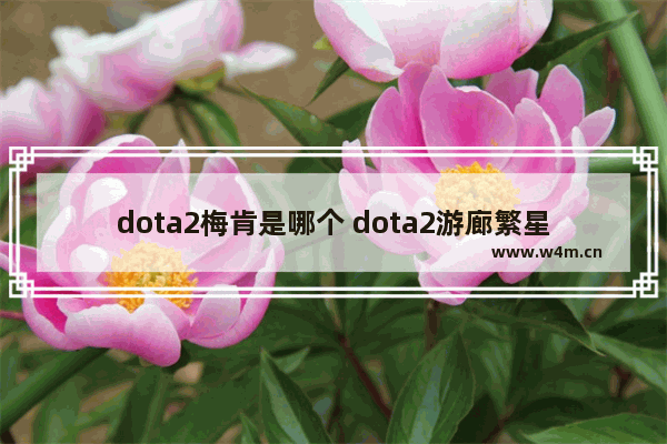 dota2梅肯是哪个 dota2游廊繁星之咒攻略