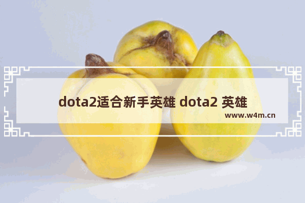 dota2适合新手英雄 dota2 英雄 新手