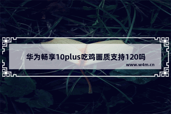 华为畅享10plus吃鸡画质支持120吗 和平精英德军