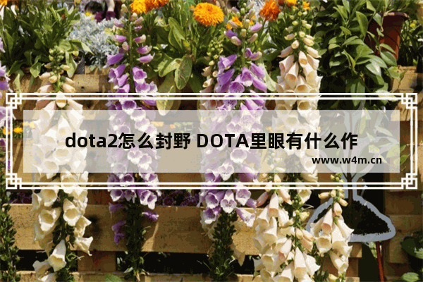 dota2怎么封野 DOTA里眼有什么作用