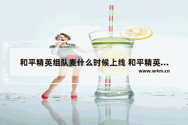 和平精英组队麦什么时候上线 和平精英对讲机麦怎么用