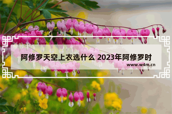 阿修罗天空上衣选什么 2023年阿修罗时装属性怎么选