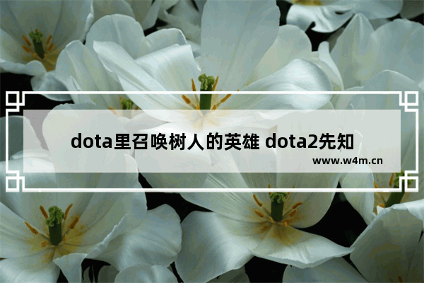 dota里召唤树人的英雄 dota2先知技能