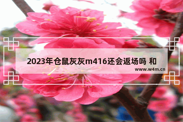 2023年仓鼠灰灰m416还会返场吗 和平精英圆形的车叫什么