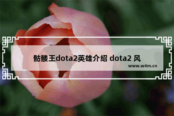 骷髅王dota2英雄介绍 dota2 风暴英雄