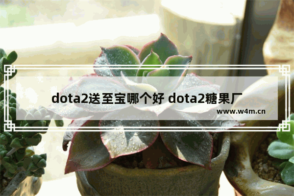 dota2送至宝哪个好 dota2糖果厂哪些值得兑换