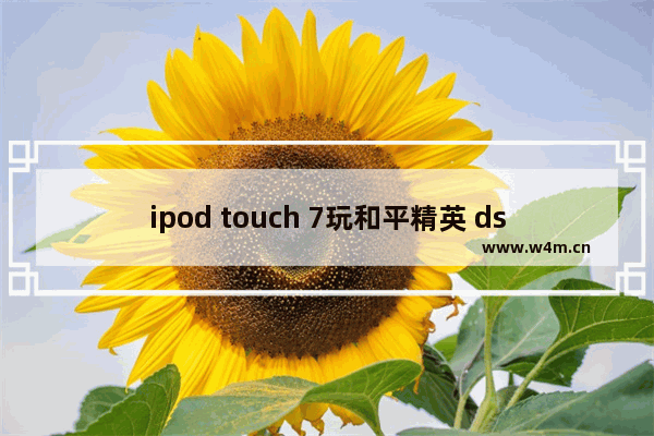 ipod touch 7玩和平精英 ds9导航功能