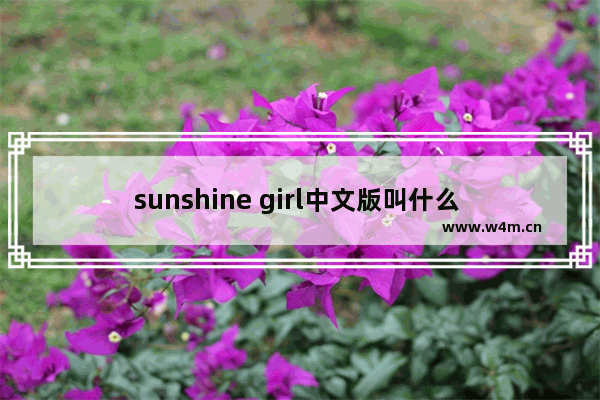 sunshine girl中文版叫什么 光遇想见你谱