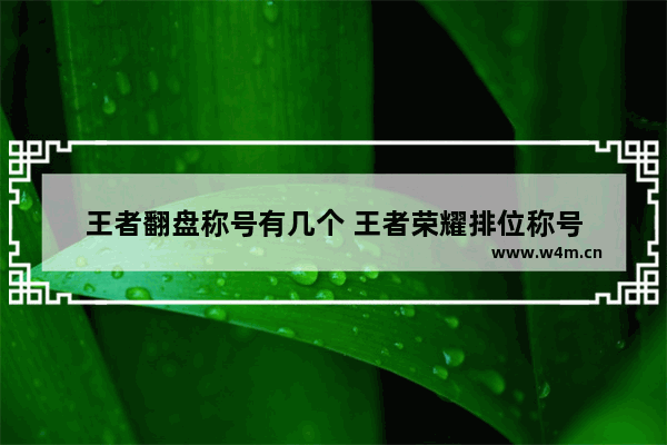 王者翻盘称号有几个 王者荣耀排位称号