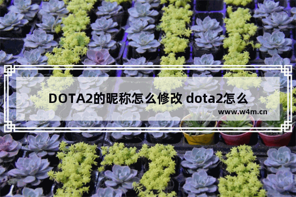 DOTA2的昵称怎么修改 dota2怎么换国区