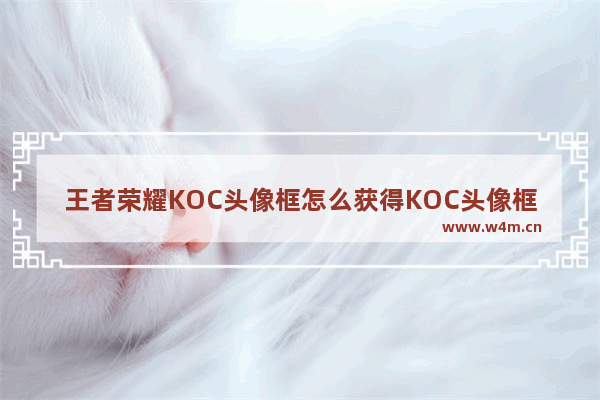 王者荣耀KOC头像框怎么获得KOC头像框获得方法 王者荣耀koc